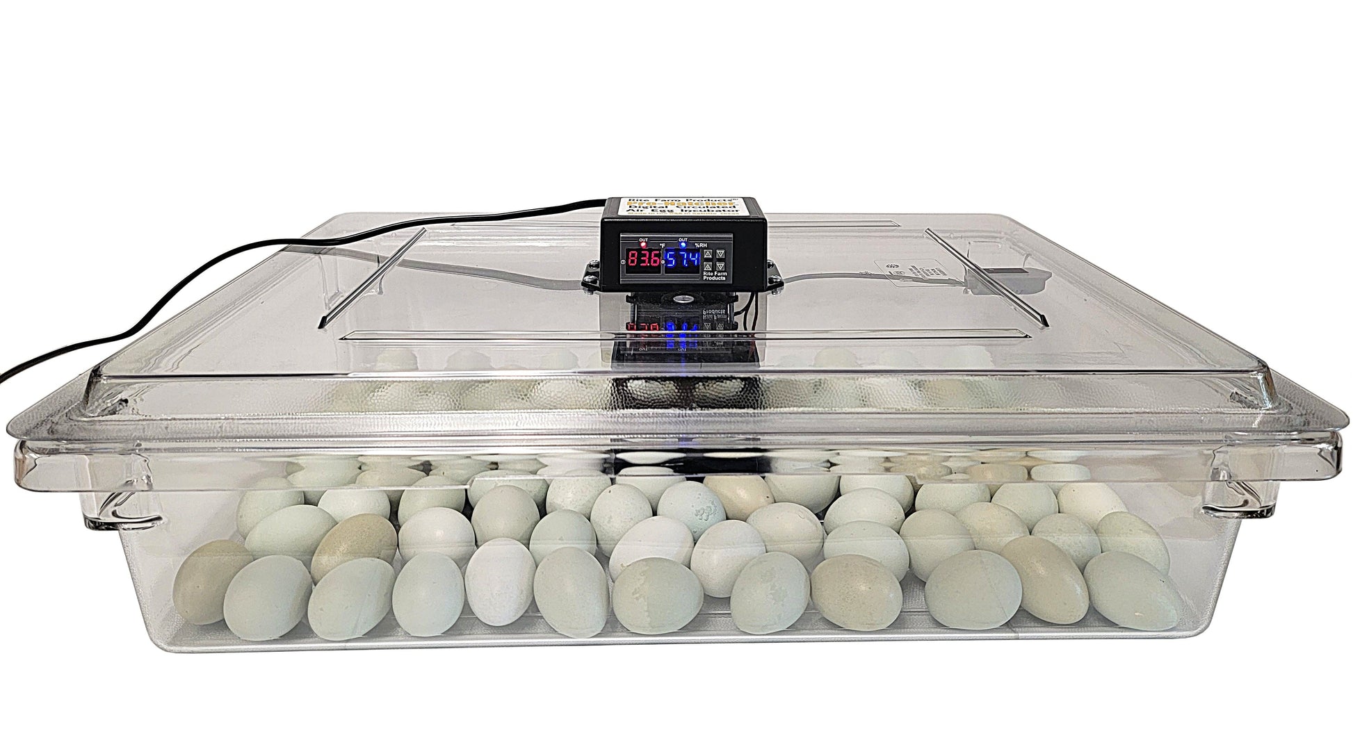 Premium Rite Farm Products PRO Hatcher Incubator for Egg Tray Transfer from Cabinet Incubators - Bird Keeping Supplies for Quail Enthusiasts
