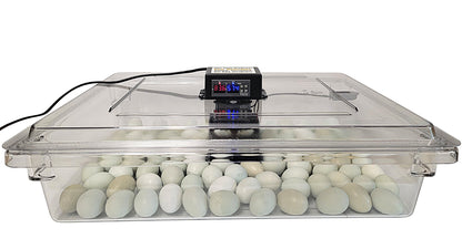 Premium Rite Farm Products PRO Hatcher Incubator for Egg Tray Transfer from Cabinet Incubators - Bird Keeping Supplies for Quail Enthusiasts
