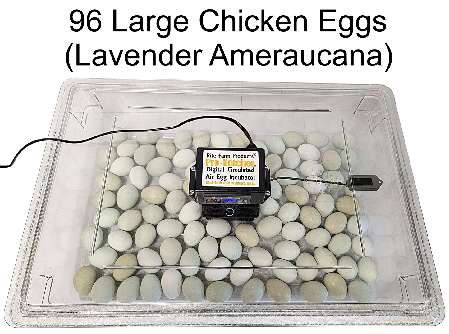 Premium Rite Farm Products PRO Hatcher Incubator for Egg Tray Transfer from Cabinet Incubators - Bird Keeping Supplies for Quail Enthusiasts