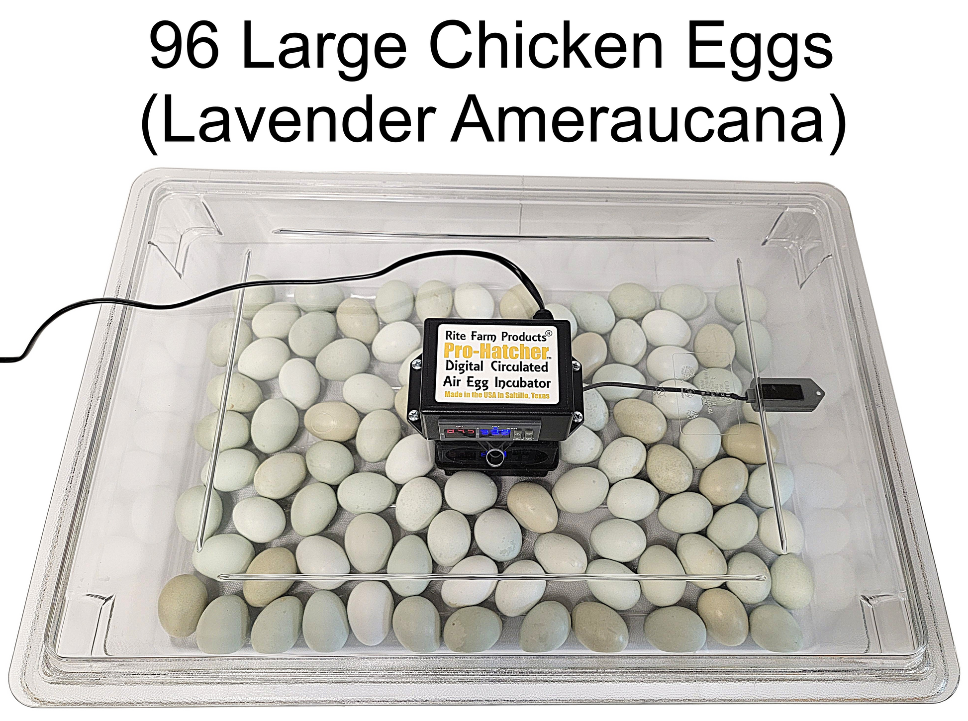 Premium Rite Farm Products PRO Hatcher Incubator for Egg Tray Transfer from Cabinet Incubators - Bird Keeping Supplies for Quail Enthusiasts