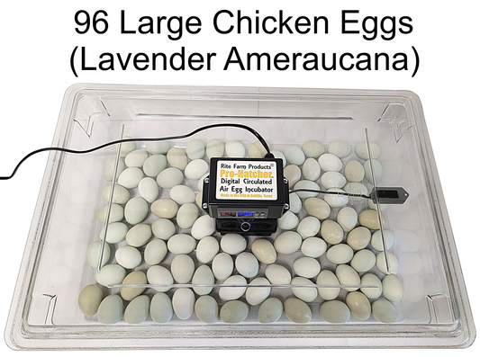 Rite Farm Products PRO Hatcher Incubator for Egg Tray Transfer from Cabinet Incubators