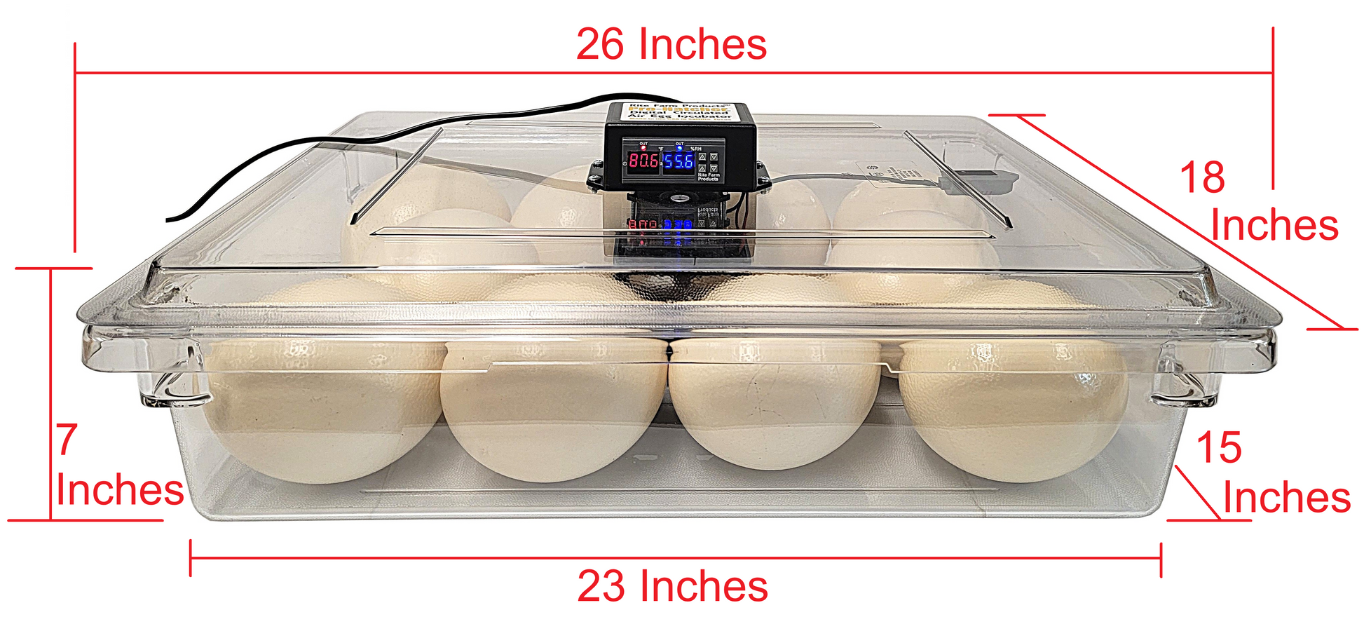 Premium Rite Farm Products PRO Hatcher Incubator for Egg Tray Transfer from Cabinet Incubators - Bird Keeping Supplies for Quail Enthusiasts