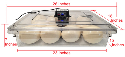 Premium Rite Farm Products PRO Hatcher Incubator for Egg Tray Transfer from Cabinet Incubators - Bird Keeping Supplies for Quail Enthusiasts