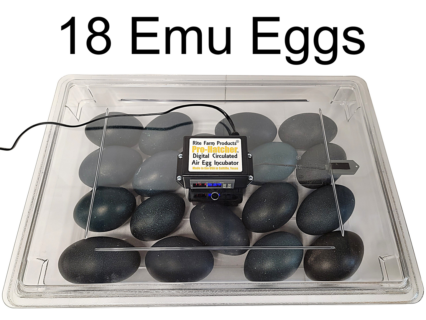 Premium Rite Farm Products PRO Hatcher Incubator for Egg Tray Transfer from Cabinet Incubators - Bird Keeping Supplies for Quail Enthusiasts