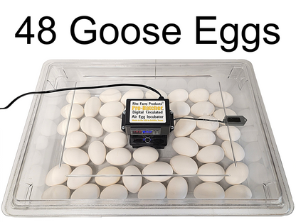 Premium Rite Farm Products PRO Hatcher Incubator for Egg Tray Transfer from Cabinet Incubators - Bird Keeping Supplies for Quail Enthusiasts