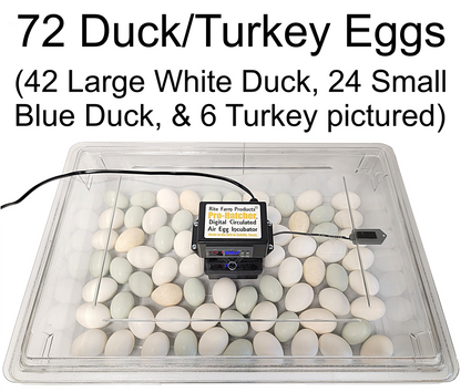 Premium Rite Farm Products PRO Hatcher Incubator for Egg Tray Transfer from Cabinet Incubators - Bird Keeping Supplies for Quail Enthusiasts