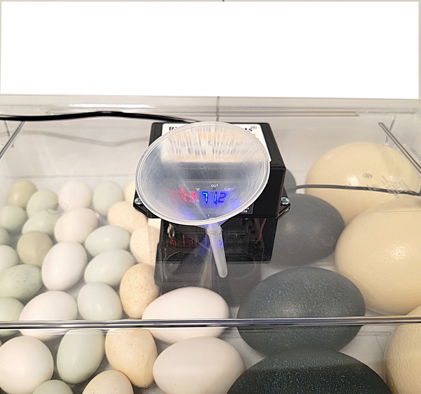 Premium Rite Farm Products PRO Hatcher Incubator for Egg Tray Transfer from Cabinet Incubators - Bird Keeping Supplies for Quail Enthusiasts