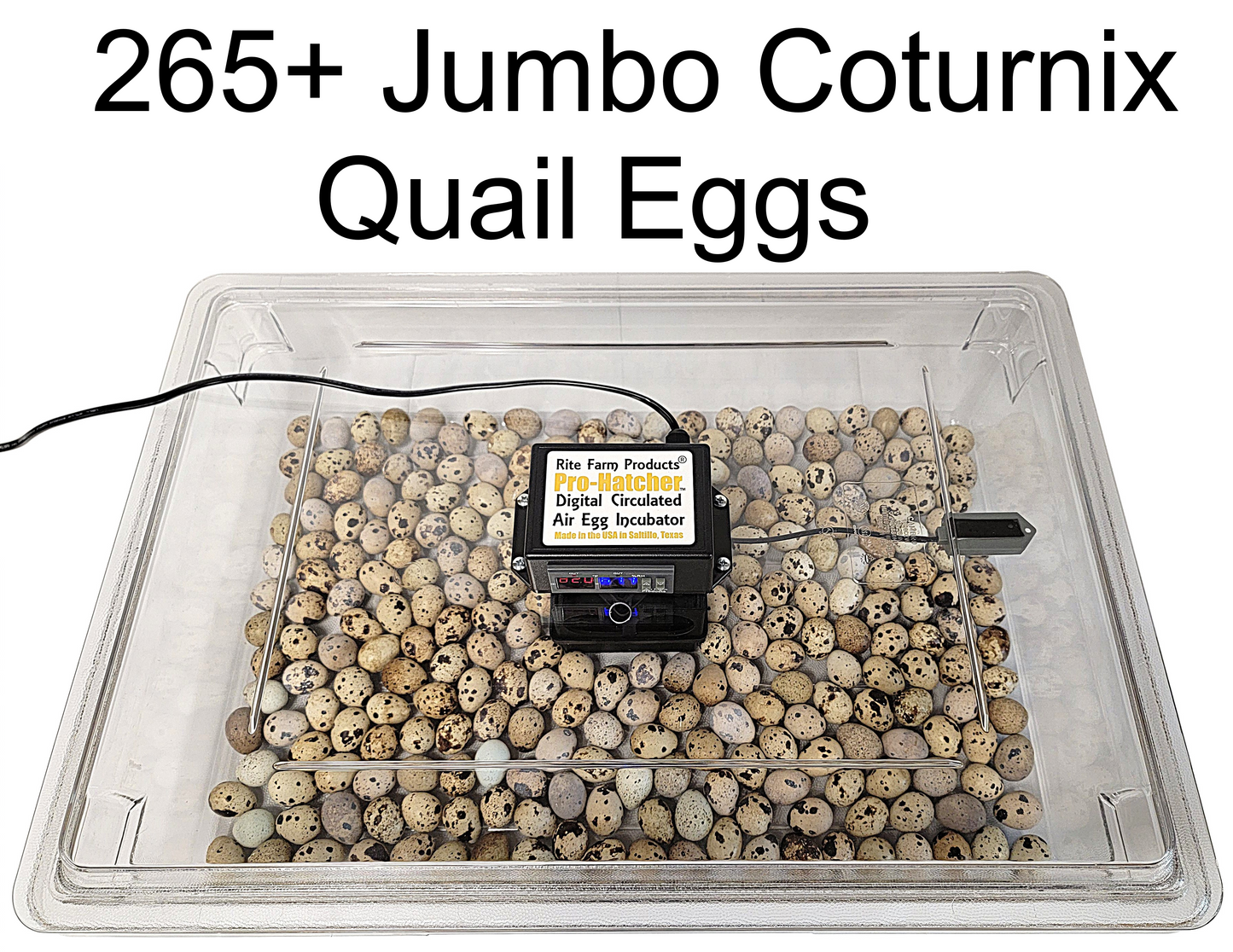 Premium Rite Farm Products PRO Hatcher Incubator for Egg Tray Transfer from Cabinet Incubators - Bird Keeping Supplies for Quail Enthusiasts