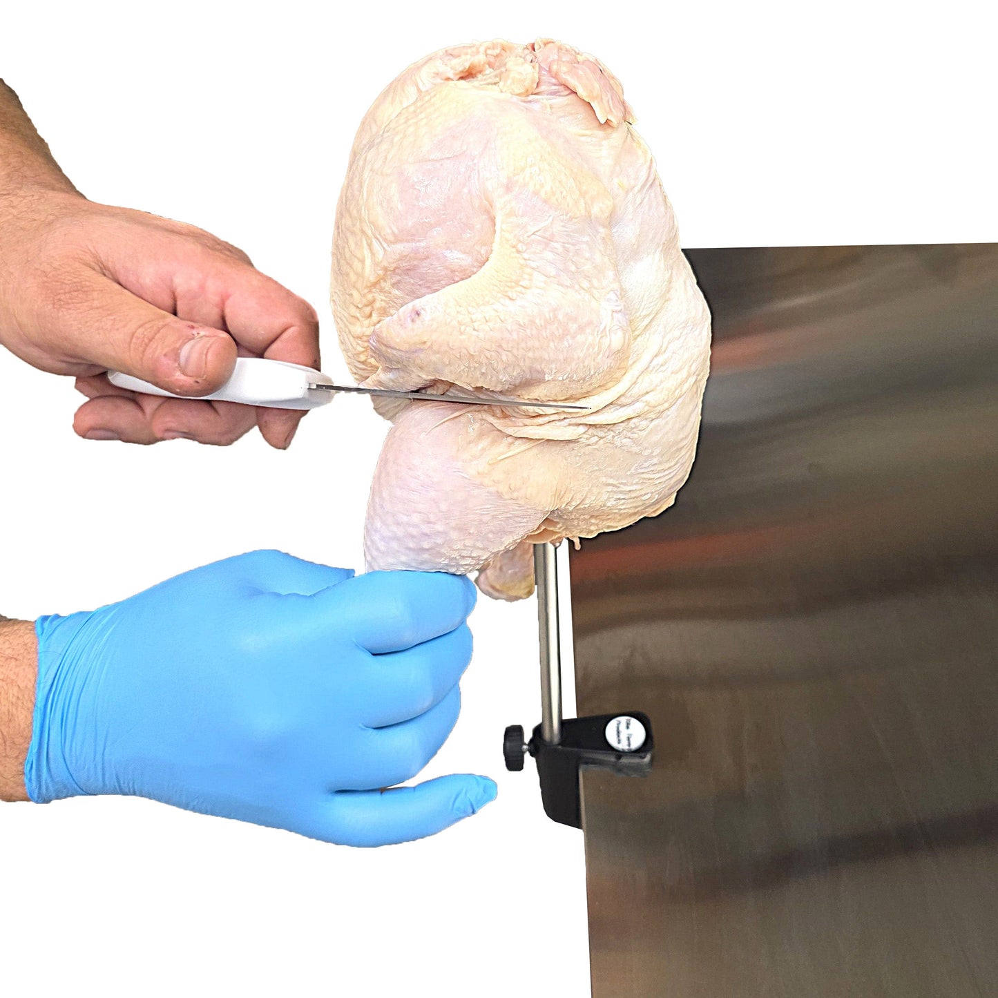 Chicken Cut Up Cone Poultry Deboning Parting Piecing Out Stand Holder