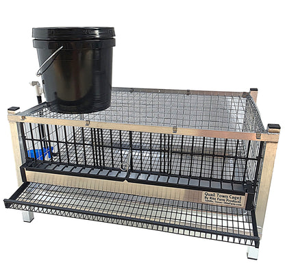 Quail Town Cages by Rite Farm Products - Pro Modular Layer Cage with Egg Rollout