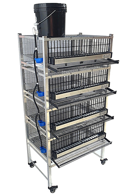 Quail Town Cages by Rite Farm Products - Pro Modular Quail Grow Out & Layer Cage System