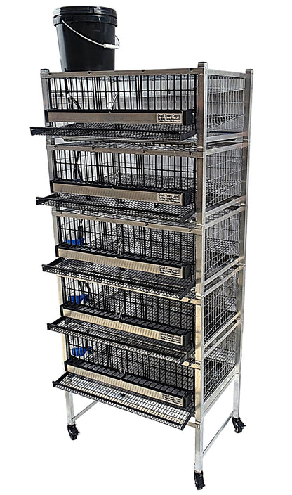 Quail Town Cages by Rite Farm Products - Pro Modular Quail Grow Out & Layer Cage Tower System Transparent Reservoir