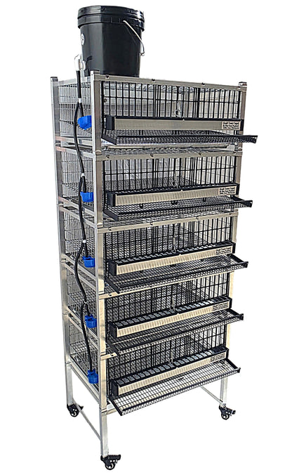 Quail Town Cages by Rite Farm Products - Pro Modular Quail Grow Out & Layer Cage Tower System Transparent Reservoir