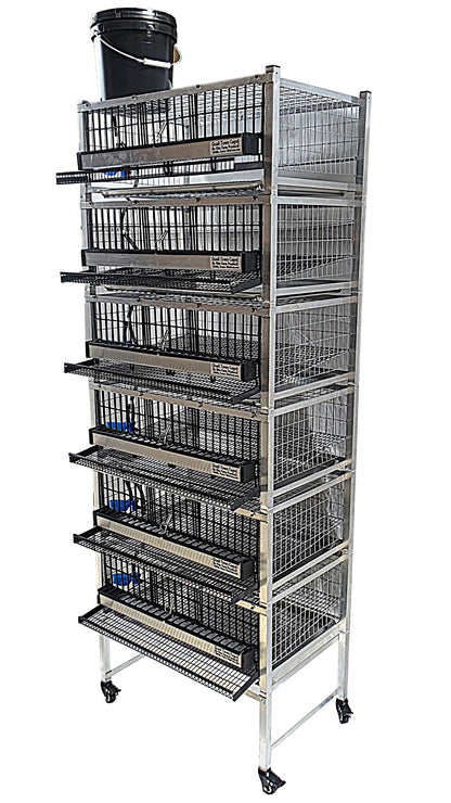 Quail Town Cages by Rite Farm Products - Pro Modular Quail Grow Out & Layer Cage System