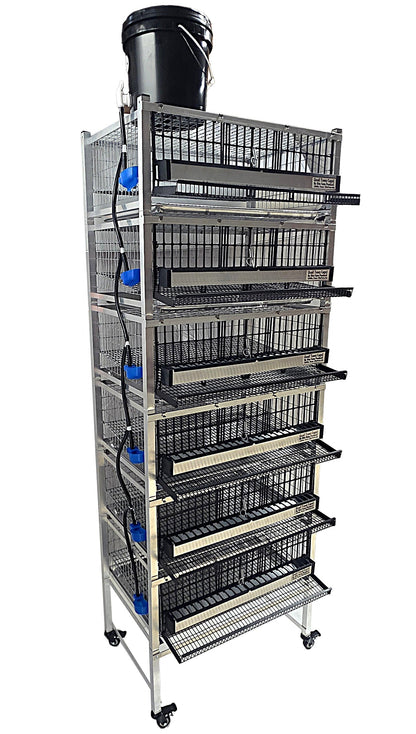 Quail Town Cages by Rite Farm Products - Pro Modular Quail Grow Out & Layer Cage Tower System Transparent Reservoir