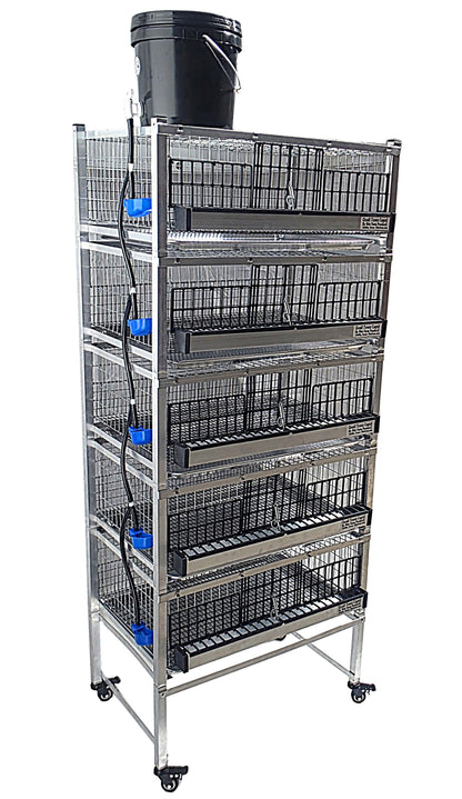 Quail Town Cages by Rite Farm Products - Pro Modular Quail Grow Out & Layer Cage Tower System Transparent Reservoir