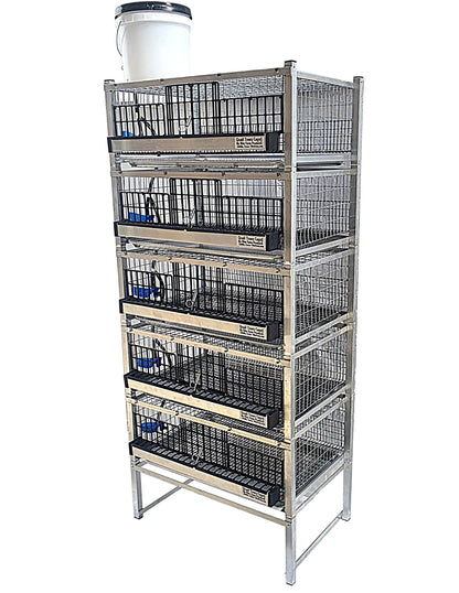 Quail Town Cages by Rite Farm Products - Pro Modular Quail Grow Out & Layer Cage Tower System Transparent Reservoir