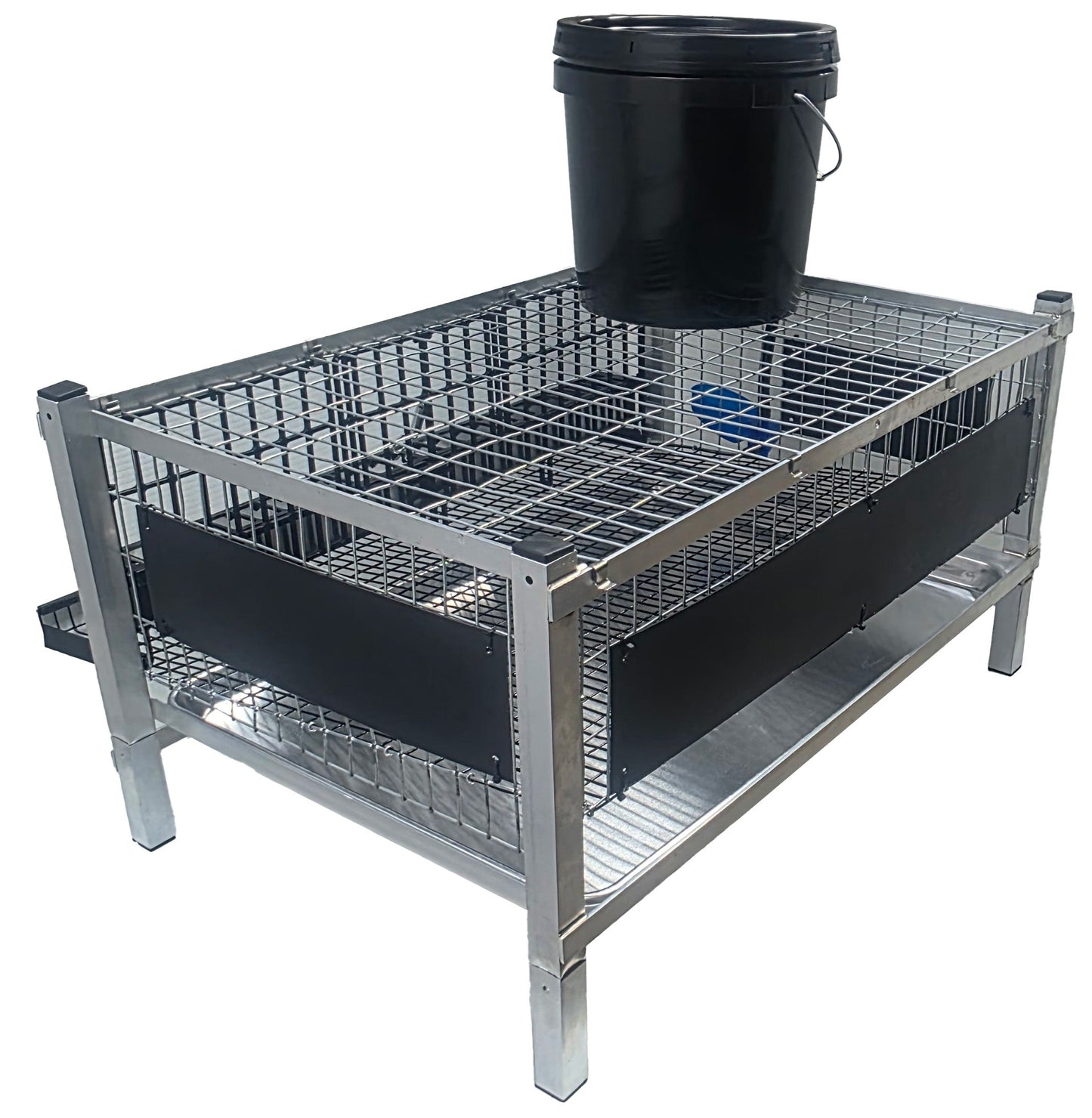 Quail Town Cages by Rite Farm Products - Optional Rear & or Sides Poop / Litter Guards