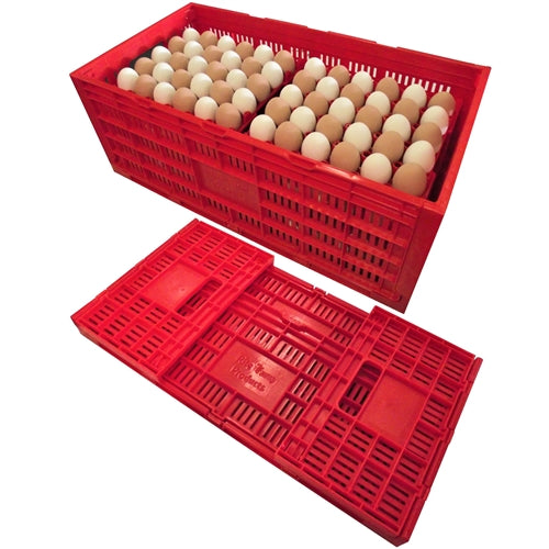 Premium Rite Farm Products Chicken Egg Transport Crate - Bird Keeping Supplies for Quail Enthusiasts