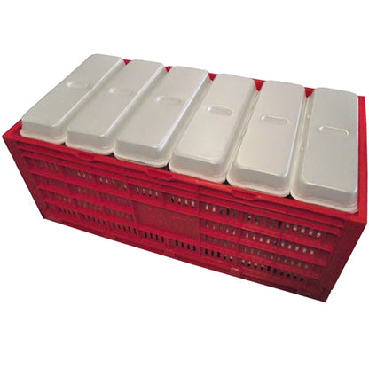 Premium Rite Farm Products Chicken Egg Transport Crate - Bird Keeping Supplies for Quail Enthusiasts