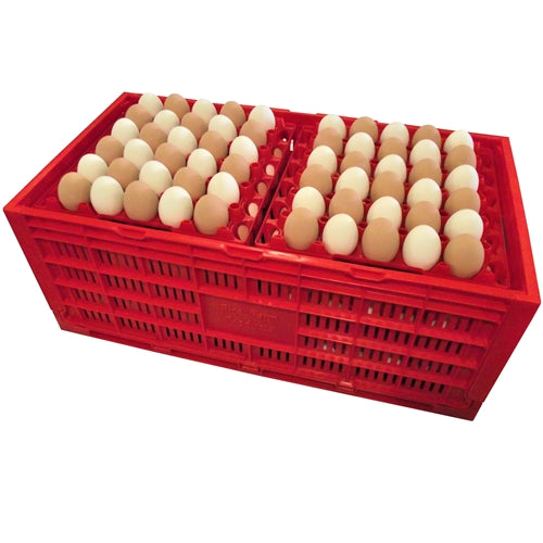 Premium Rite Farm Products Chicken Egg Transport Crate - Bird Keeping Supplies for Quail Enthusiasts