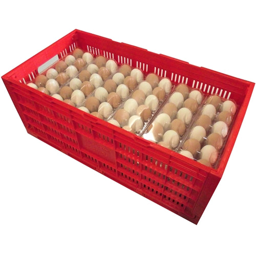 Premium Rite Farm Products Chicken Egg Transport Crate - Bird Keeping Supplies for Quail Enthusiasts