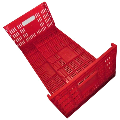 Premium Rite Farm Products Chicken Egg Transport Crate - Bird Keeping Supplies for Quail Enthusiasts