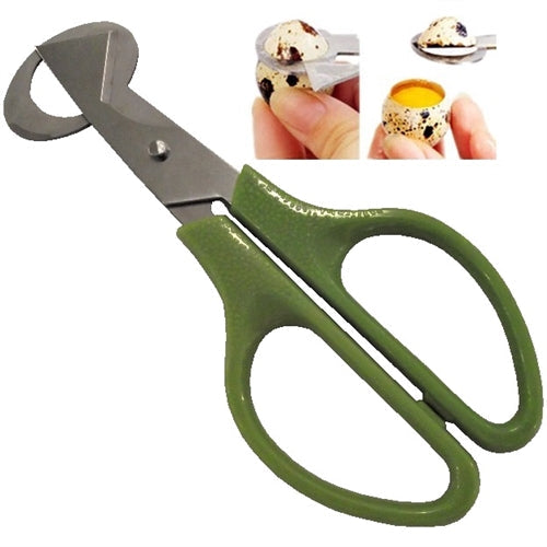 Premium Rite Farm Products Stainless Steel Quail Egg Scissors - Bird Keeping Supplies for Quail Enthusiasts