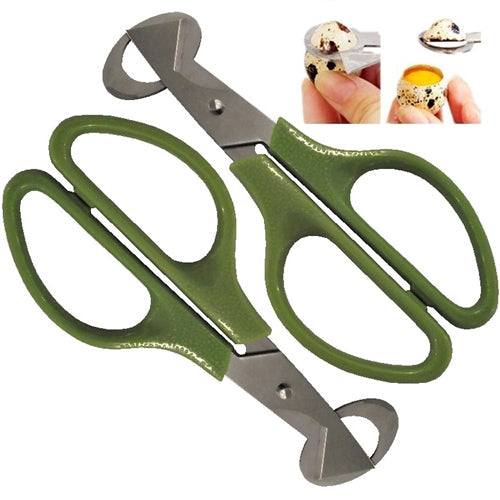 Premium Rite Farm Products Stainless Steel Quail Egg Scissors - Bird Keeping Supplies for Quail Enthusiasts