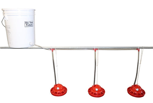 Premium Rite Farm Products 5 Gallon Auto Pro Chick Waterer Complete Kit - Bird Keeping Supplies for Quail Enthusiasts