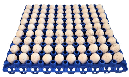 Premium Rite Farm Products 90 Egg Capacity Quail, Pigeon, Dove, & Bird Size Trays - Bird Keeping Supplies for Quail Enthusiasts