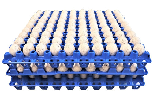 Premium Rite Farm Products 90 Egg Capacity Quail, Pigeon, Dove, & Bird Size Trays - Bird Keeping Supplies for Quail Enthusiasts