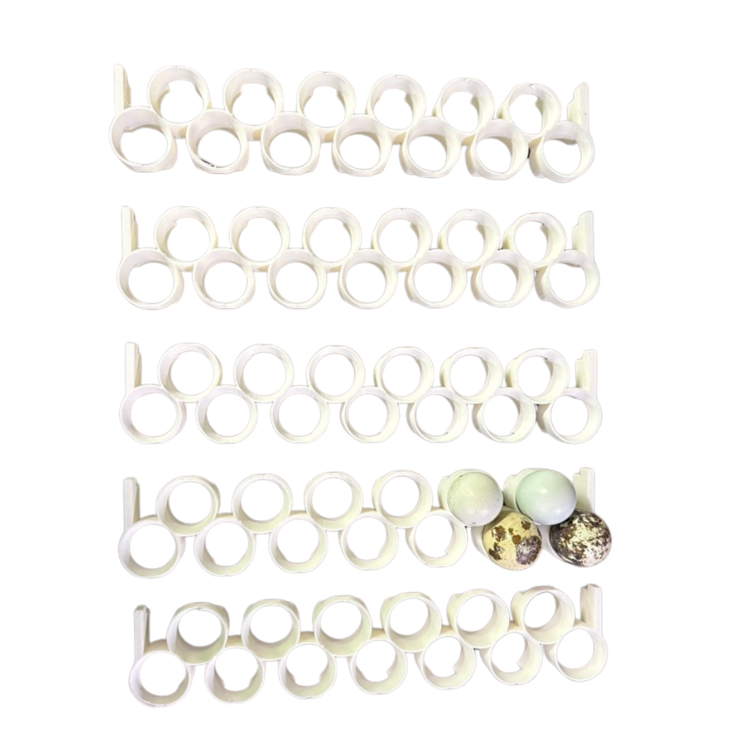 Premium Jumbo Quail Egg Rails for Cimuka®/Hatching Time® Incubators (CT-Series) - Bird Keeping Supplies for Quail Enthusiasts