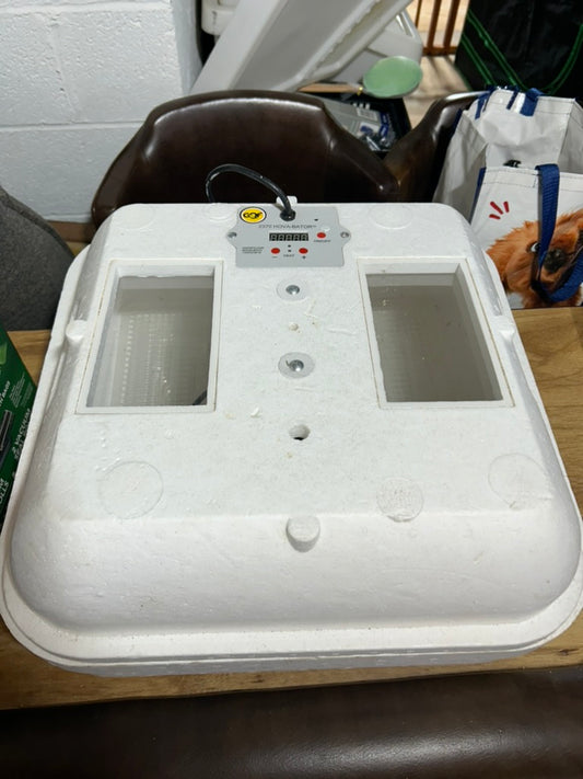 Quail Hatching Rental Kit - Bridgewater NJ