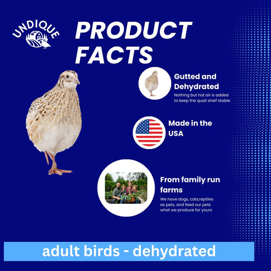 Premium Quail Whole Pray dehydrated for Bird Dog Training or Falconry - Dog Treats for Quail Enthusiasts