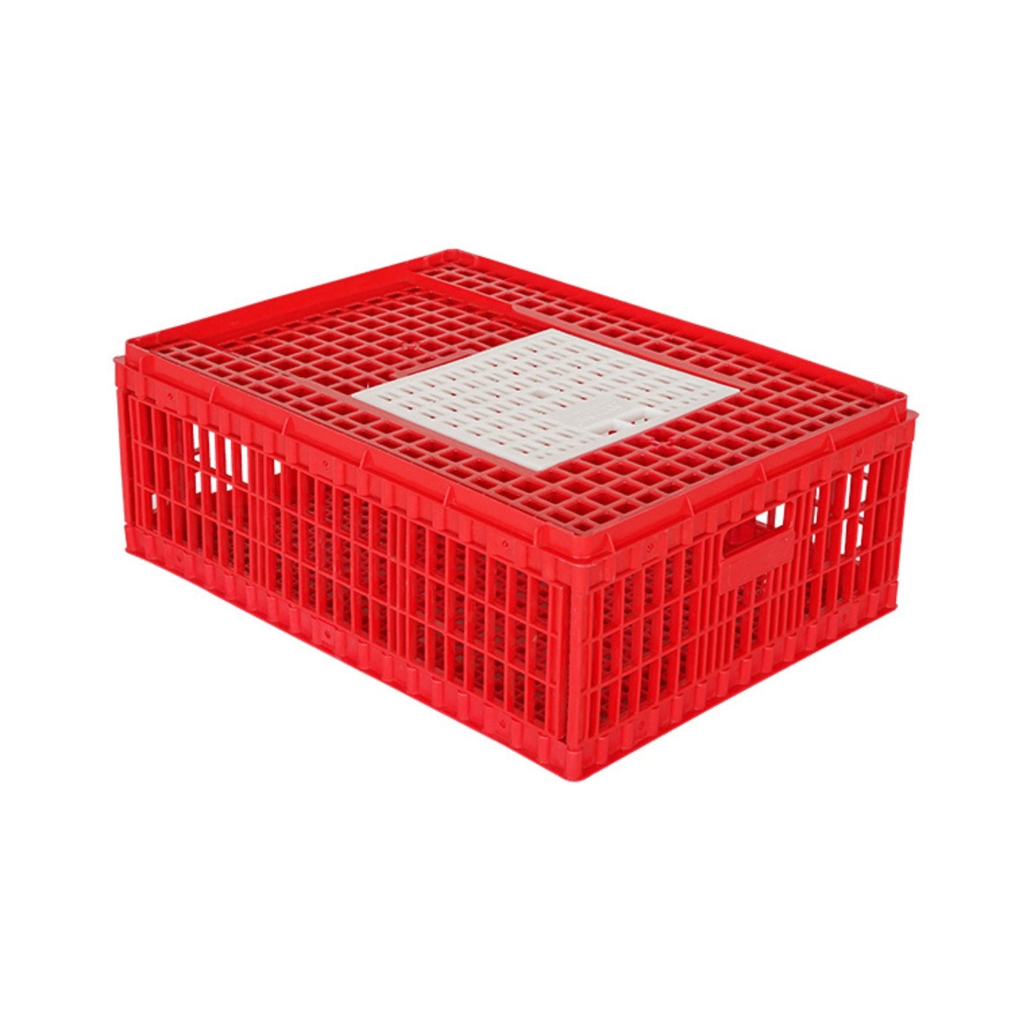 Chicken Transport Coop (Small) with Top Door