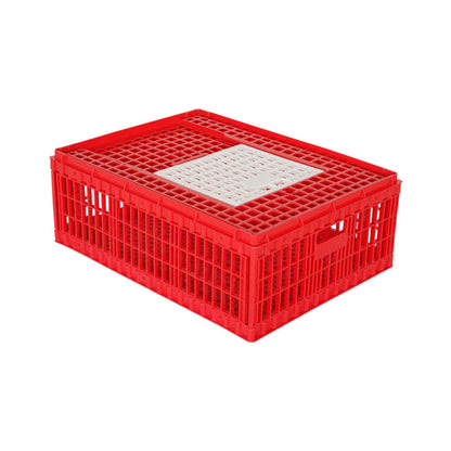 Chicken Transport Coop (Small) with Top Door