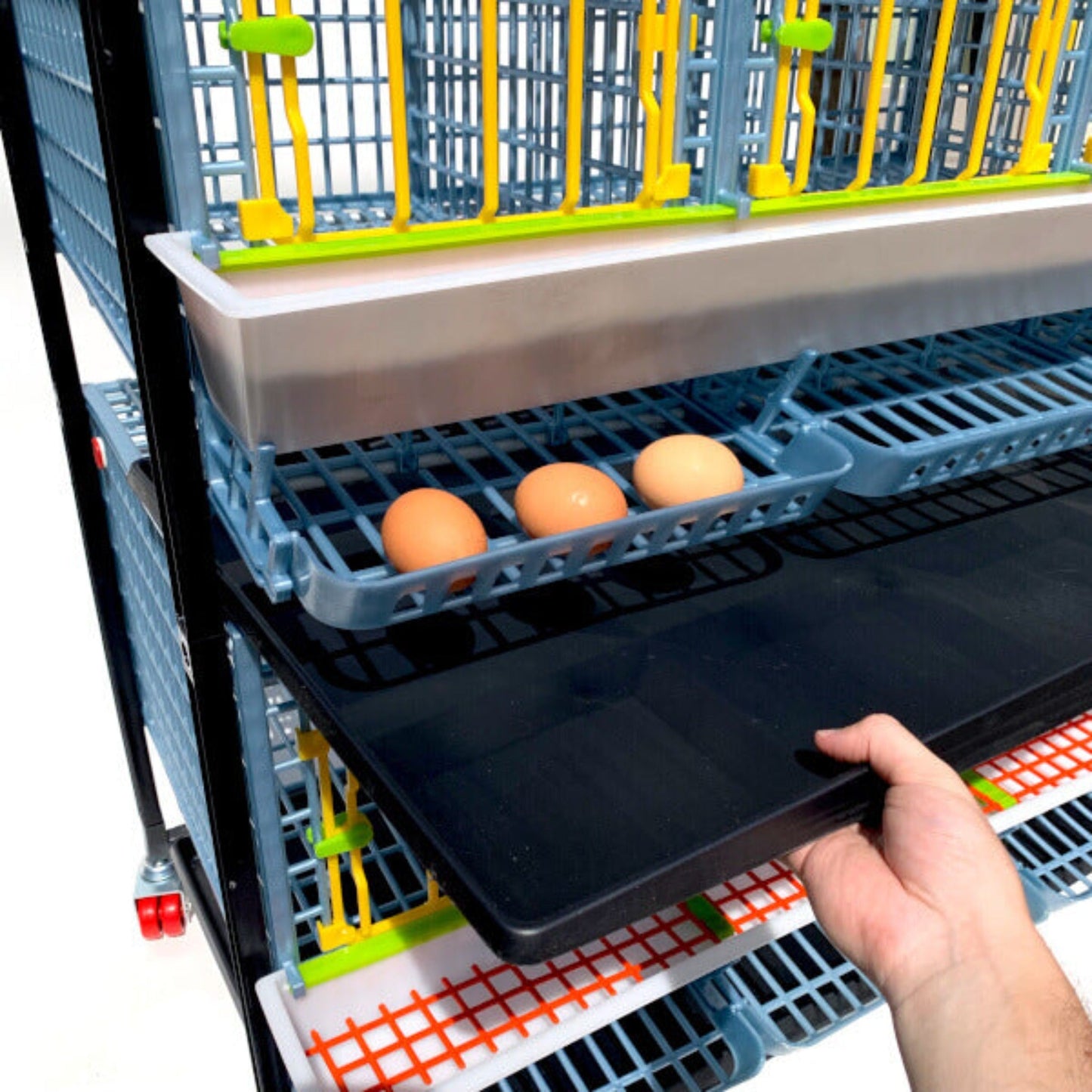 Chicken Cage - 1 Layer H: 15"