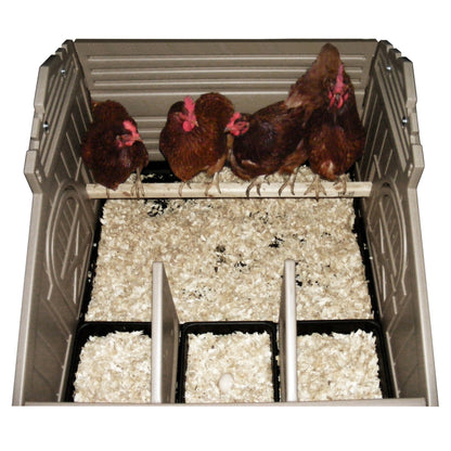Standard Chicken Coop with Stand and Stairs & Run