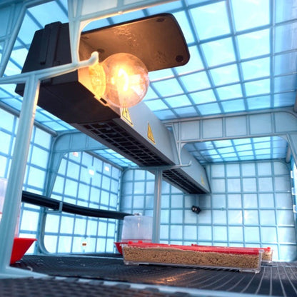 Chick Brooder - 3 Layer H: 9.5"