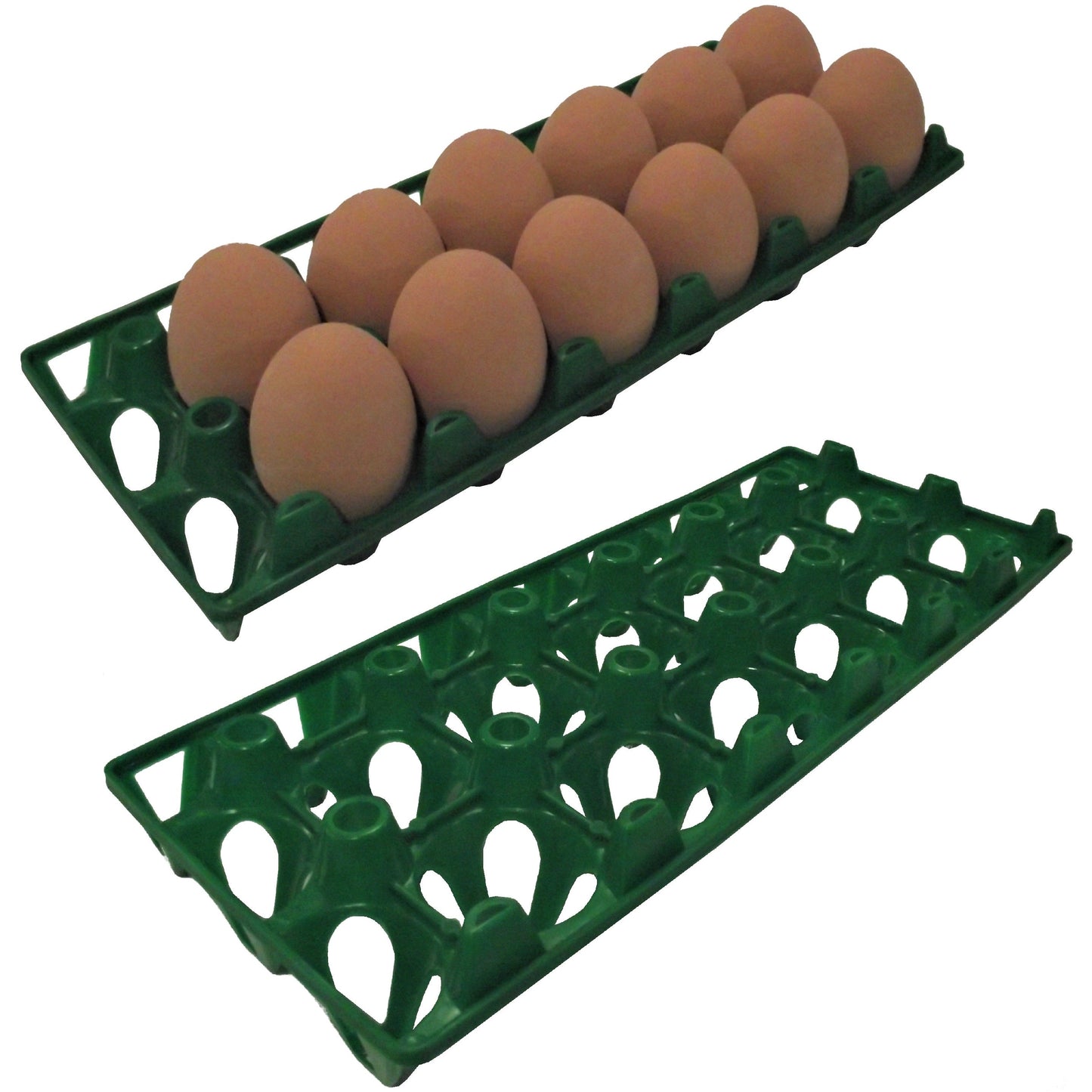 Premium Rite Farm Products 12 Chicken Egg Poly Trays - Bird Keeping Supplies for Quail Enthusiasts