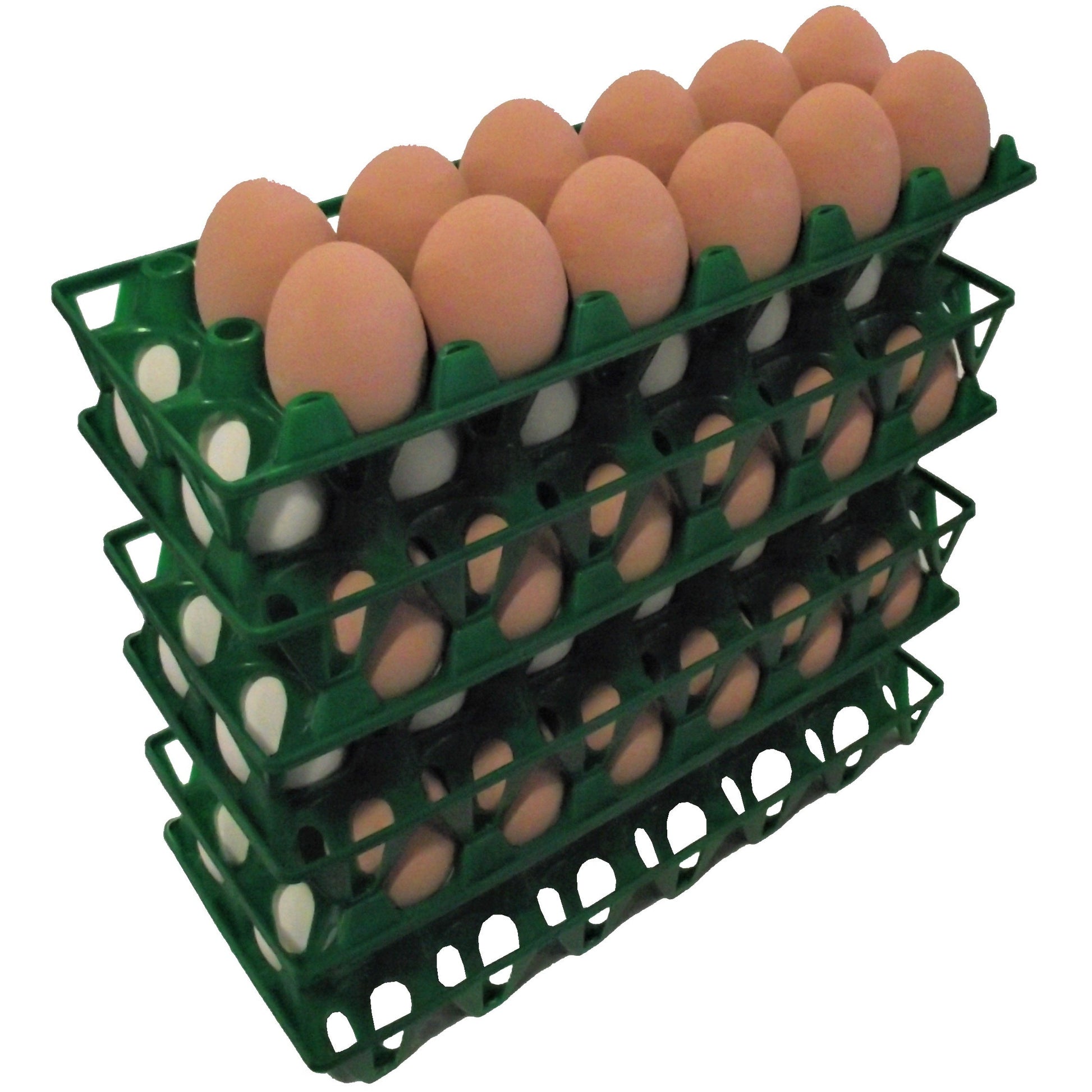 Premium Rite Farm Products 12 Chicken Egg Poly Trays - Bird Keeping Supplies for Quail Enthusiasts