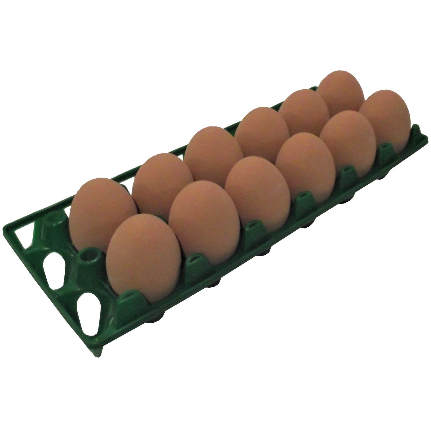 Premium Rite Farm Products 12 Chicken Egg Poly Trays - Bird Keeping Supplies for Quail Enthusiasts