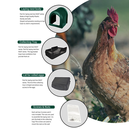 EggHouse Roll-Out Nesting Box Wall Mount up to 10 Birds