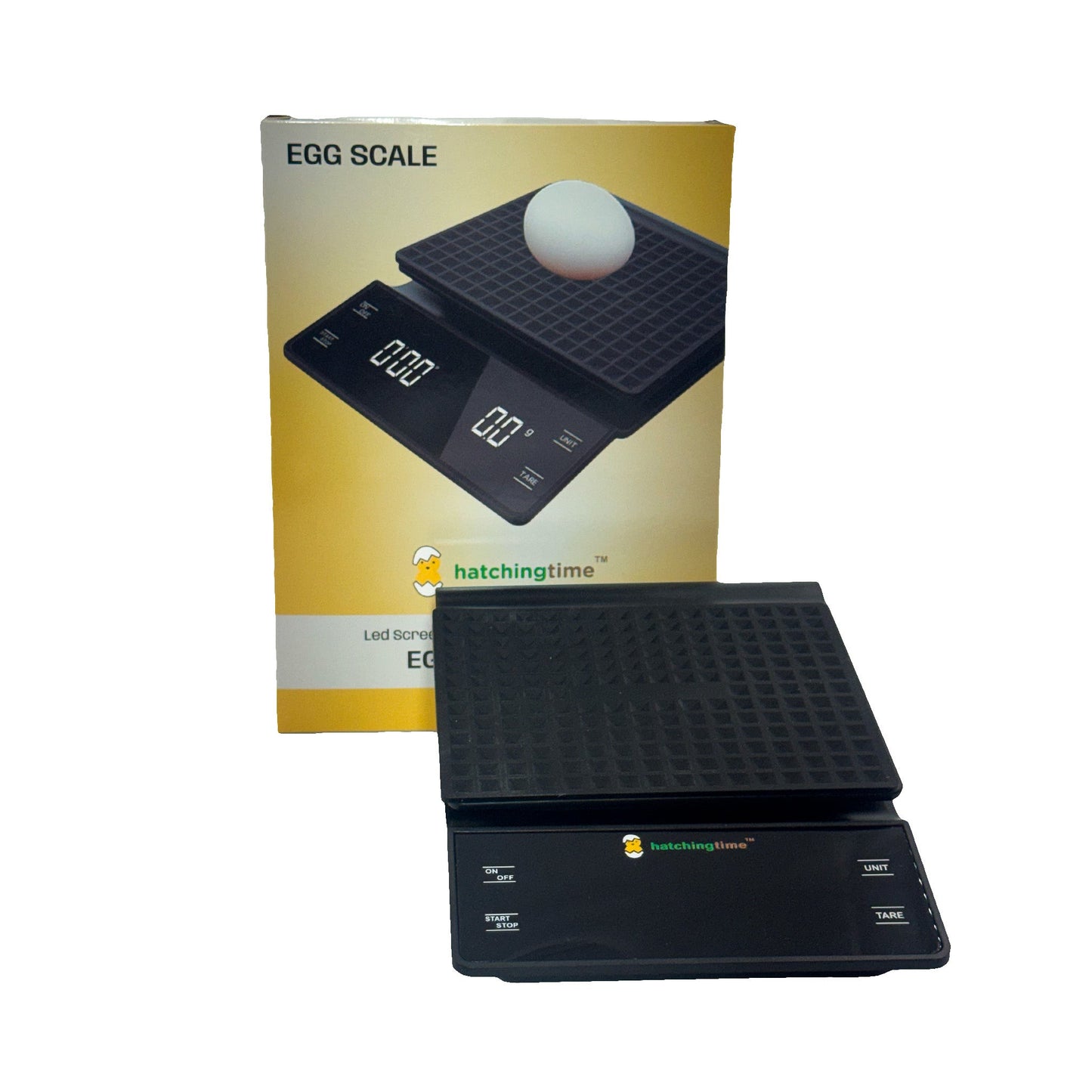 Digital Egg & Kitchen Scale - 6.6 lb Capacity