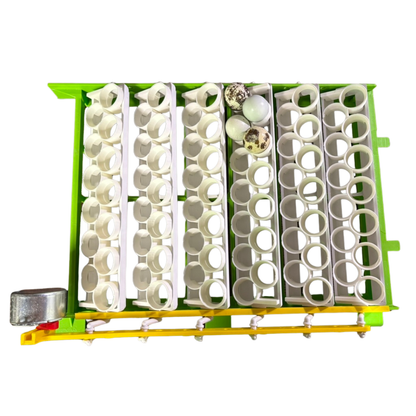 Quail Egg Rails for Cimuka®/Hatching Time® Incubators (CT-Series)