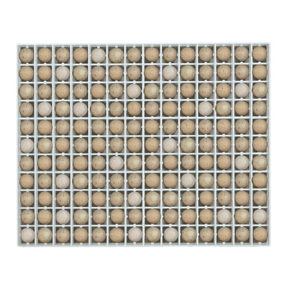 Egg Setter Tray - Partridge - 154 Eggs