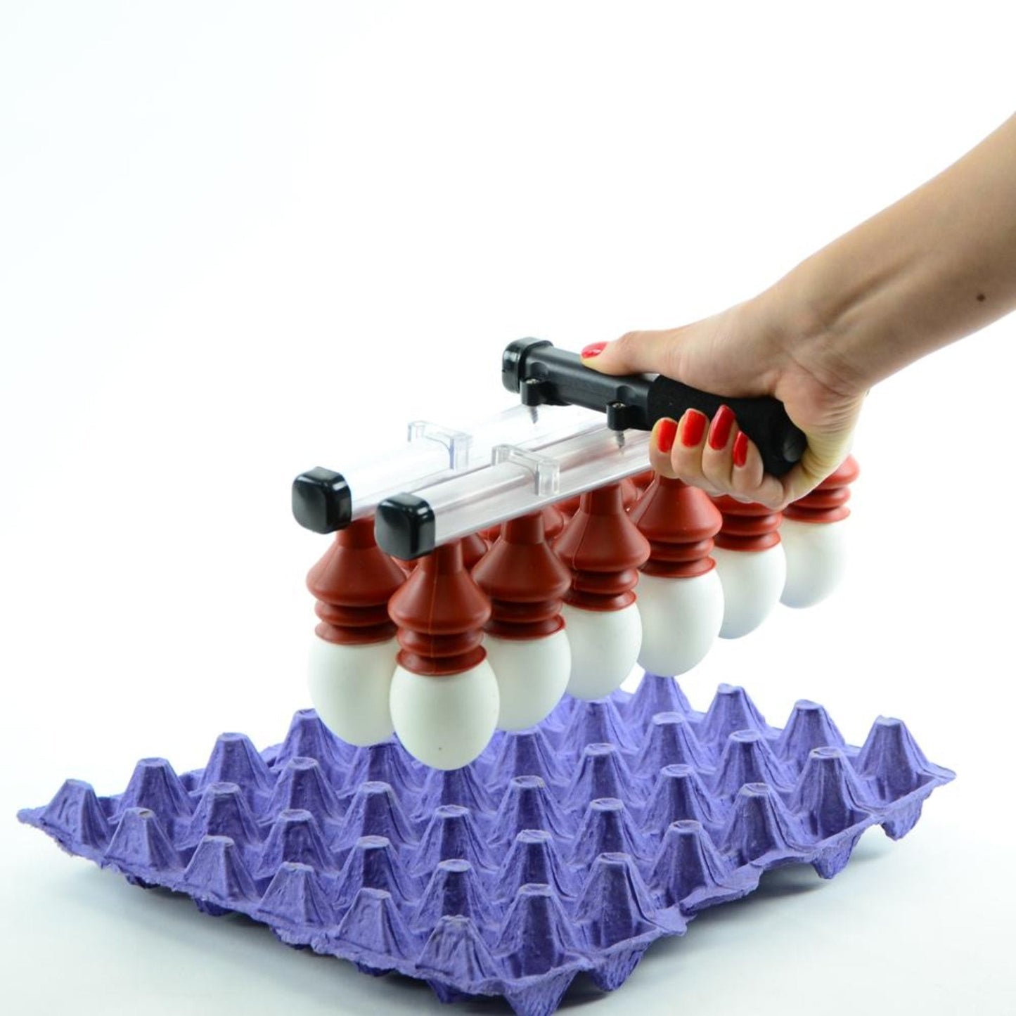 Vacuum Egg Lifter (12 Eggs) - Manual