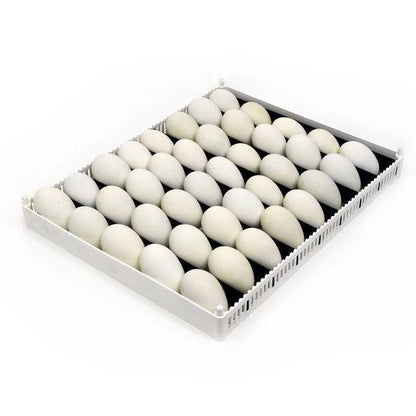 Flexy80 Egg Setter Tray with separators