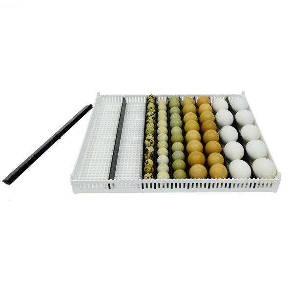 Flexy80 Egg Setter Tray with separators